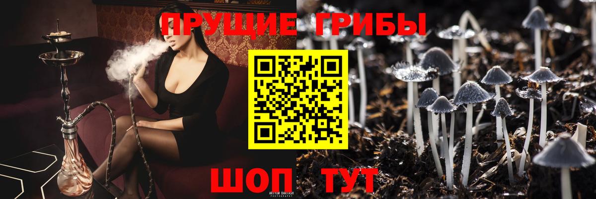 Лысьва  Галлюциногенные грибы GOLDEN TEACHER  Вход с VPN 